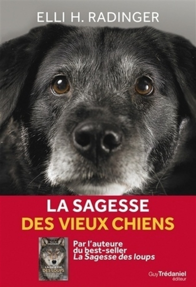 La sagesse des vieux chiens : tout ce que le meilleur ami de l'homme peut nous apprendre de la vie