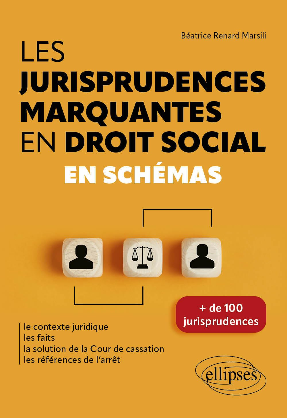 Les jurisprudences marquantes en droit social en schémas : le contexte juridique, les faits, la solu