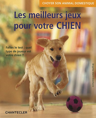 Les meilleurs jeux pour votre chien : faites le test, quel type de joueur est votre chien ?