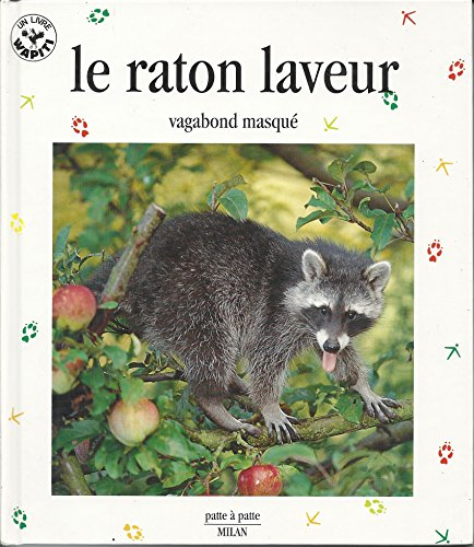 Le raton laveur, vagabond masqué