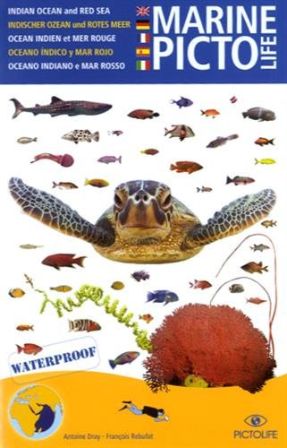 Pictolife mer Rouge-océan Indien