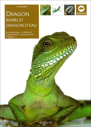 Dragons barbus et dragons d'eau