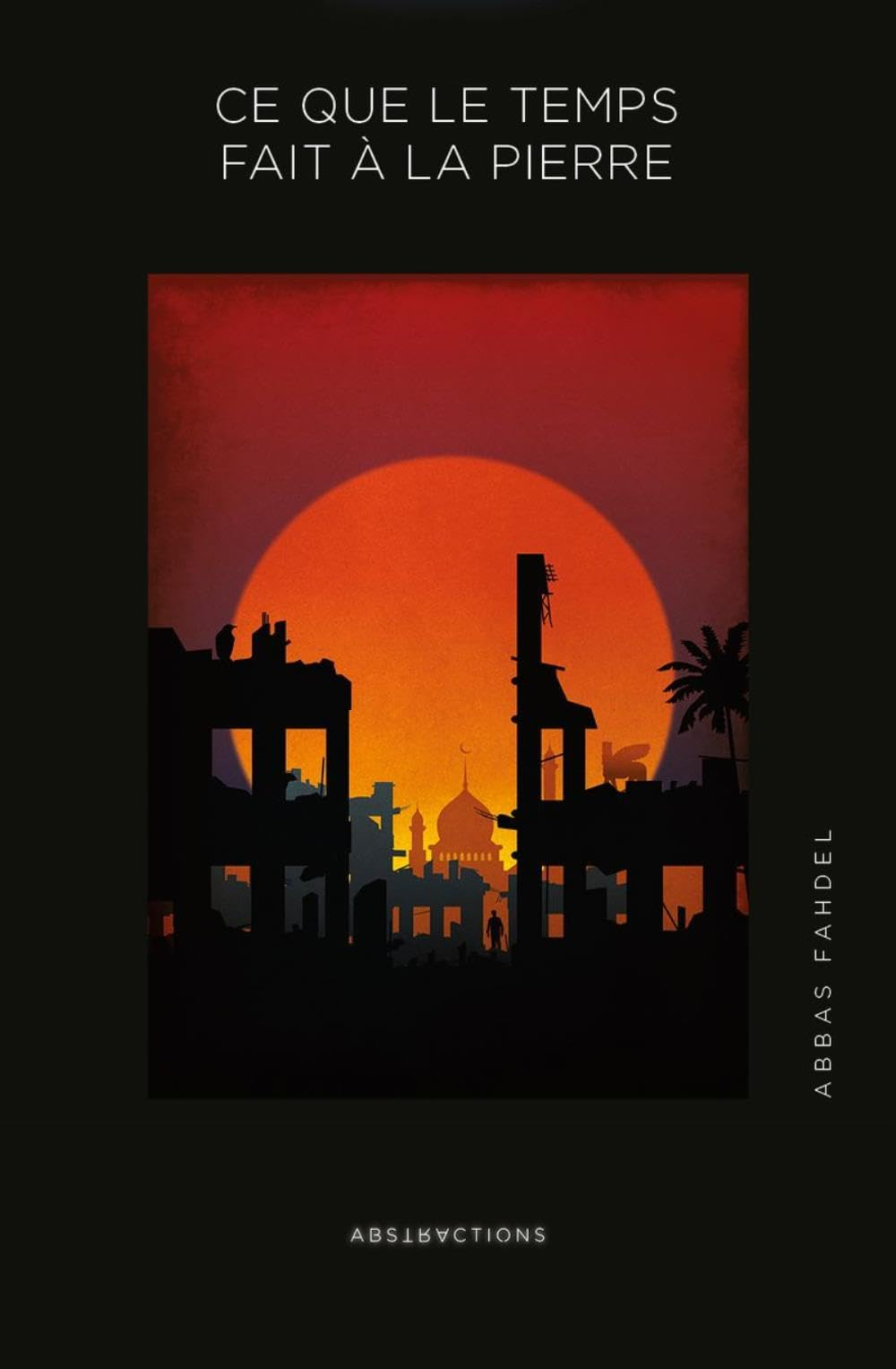 Ce que le temps fait à la pierre