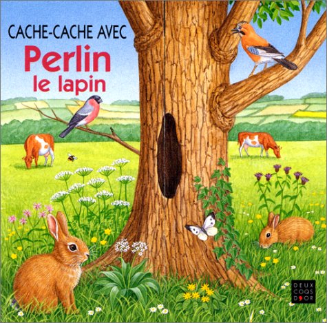 Cache-cache avec Perlin le lapin