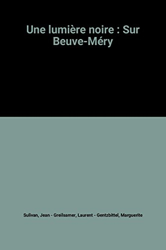 Une lumière noire : sur Beuve-Méry