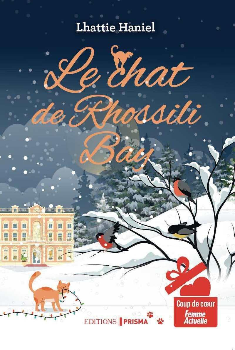 Le chat de Rhossili Bay