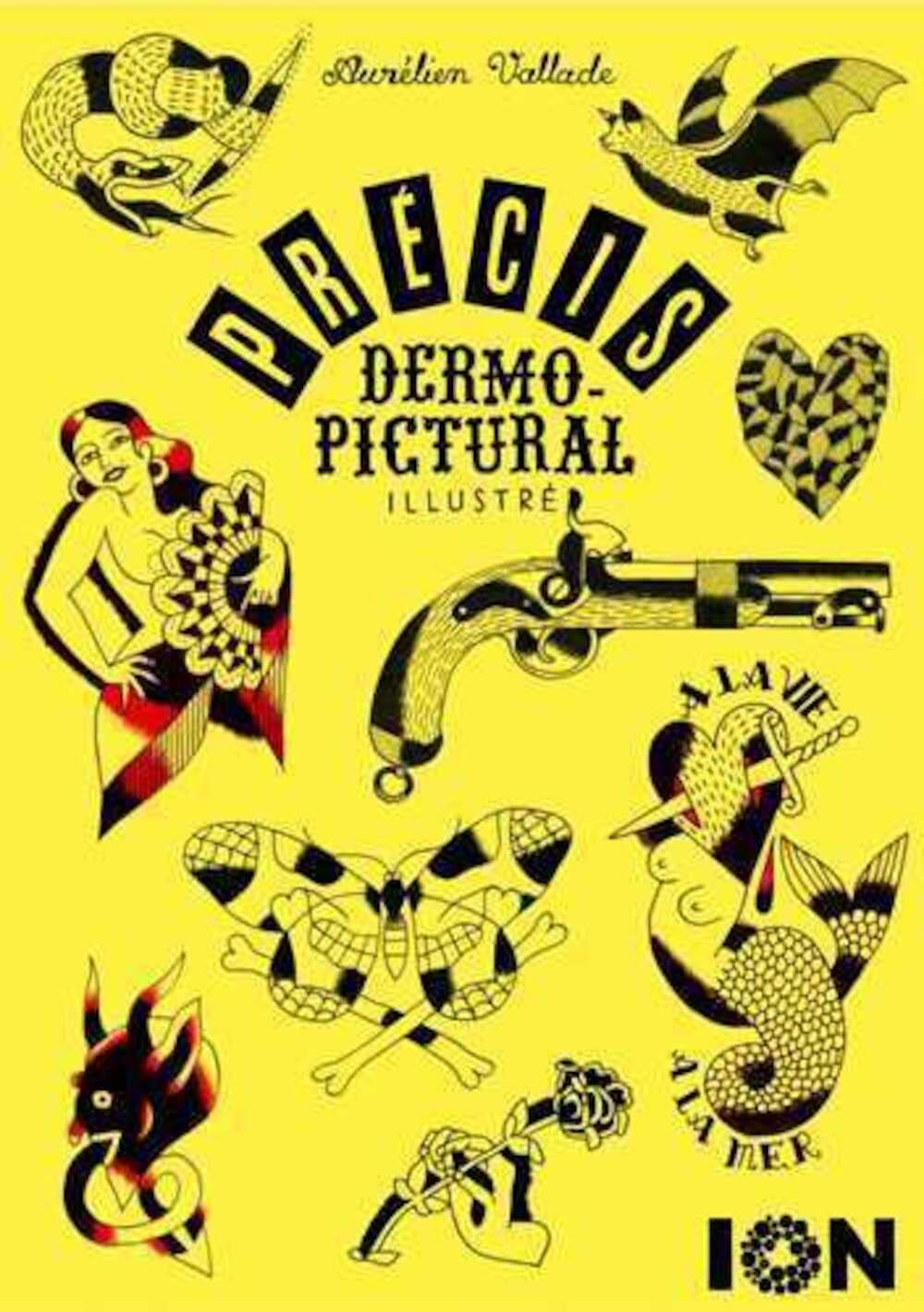 Précis dermo-pictural illustré