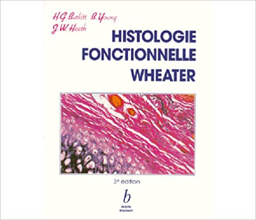 histologie fonctionnelle