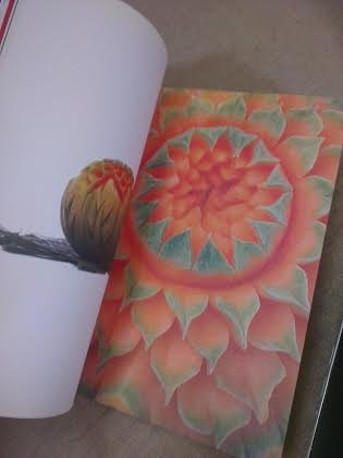 fraîch'attitude : catalogue