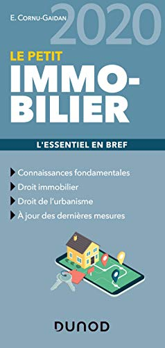 Le petit immobilier 2020 : l'essentiel en bref