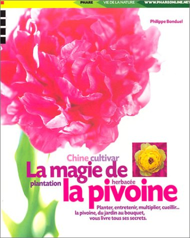 La magie de la pivoine