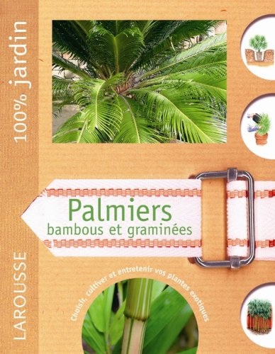 Palmiers, bambous et graminées : le guide indispensable pour choisir, cultiver et multiplier les pal
