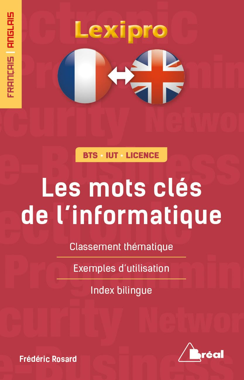 Les mots clés de l'informatique et d'Internet : français-anglais, BTS, IUT, licence : classement thé