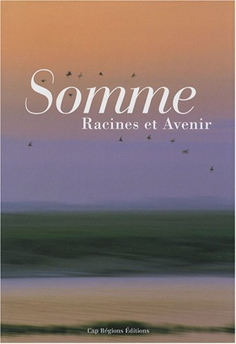 Somme : racines et avenir
