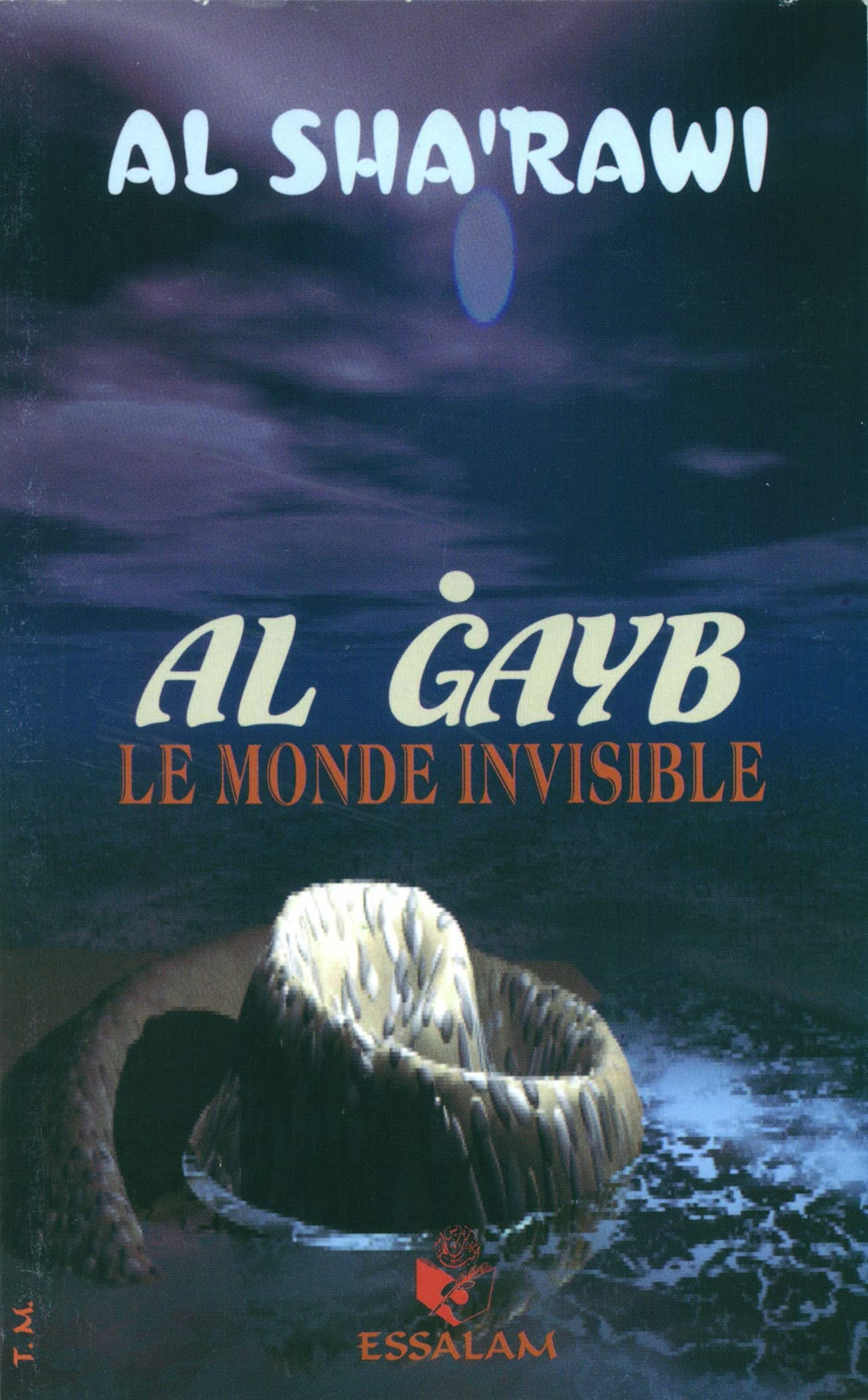 Le monde invisible : al Gayb