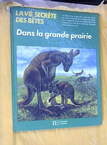 Dans la grande prairie