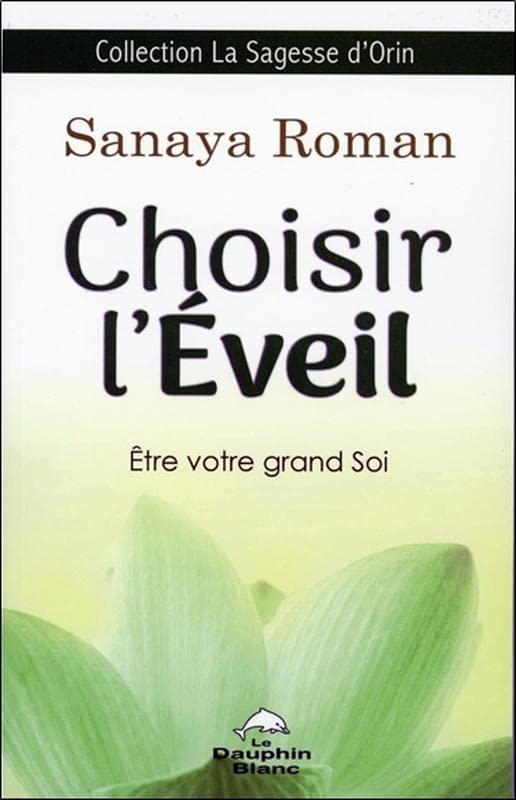 Choisir l'éveil : être votre grand Soi