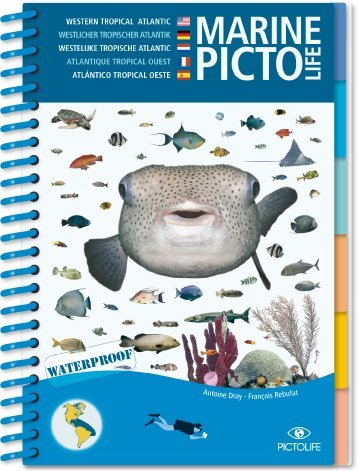 Marine pictolife : Caribbean. Marine pictolife : Karibik. Marine Pictolife : Caraïbes