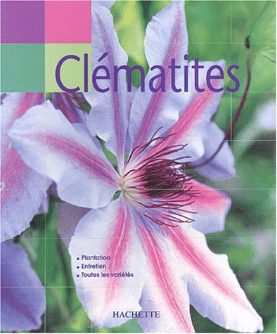 Clématites