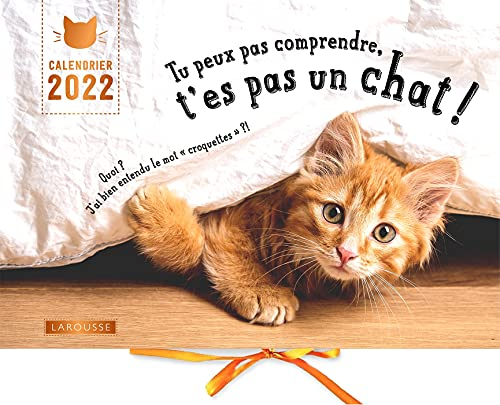 Tu peux pas comprendre, t'es pas un chat ! : calendrier 2022
