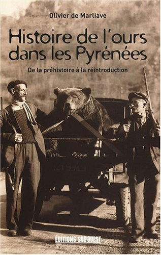 Histoire de l'ours dans les Pyrénées : de la préhistoire à la réintroduction