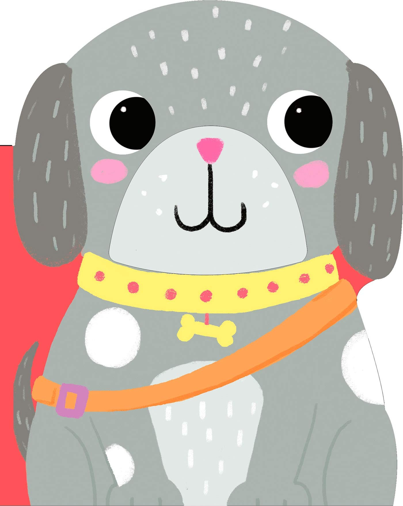 Aventure à la maison