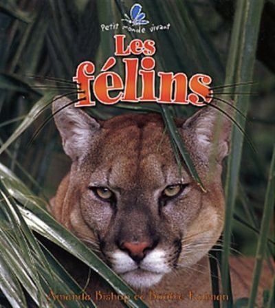 Les felins