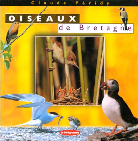 Oiseaux de Bretagne