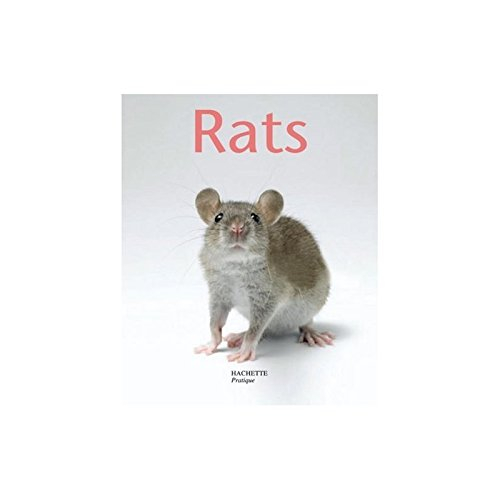 Rats