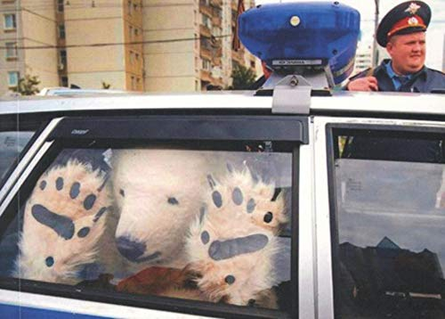 What the fuck!. What the mega fuck!