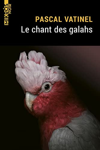 Le chant des galahs