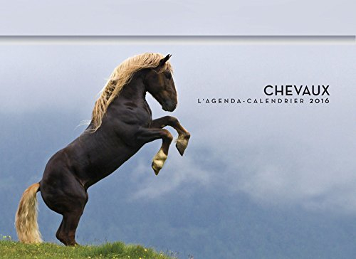 Chevaux : l'agenda-calendrier 2016