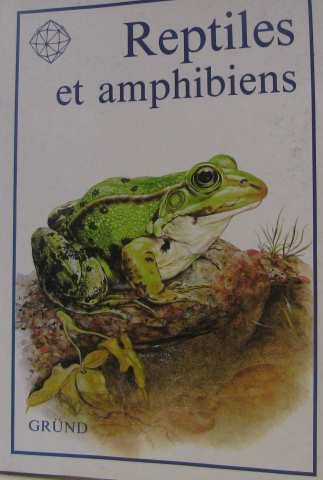 Amphibiens et reptiles : comment identifier à coup sûr tritons, grenouilles, tortues, lézards et ser