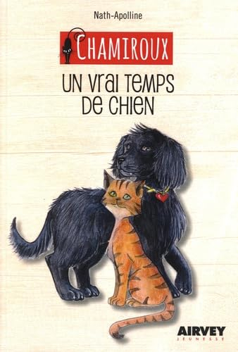 Chamiroux. Un vrai temps de chien