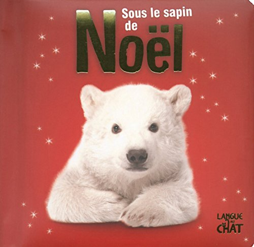 Sous le sapin de Noël