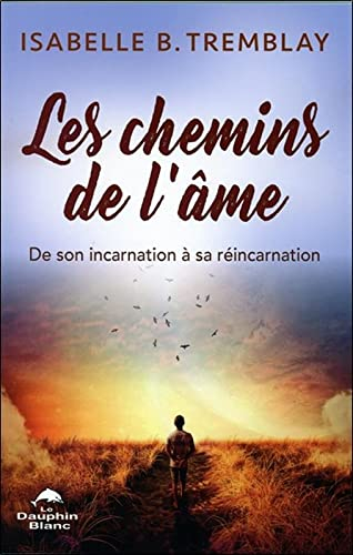 Les chemins de l'âme : de son incarnation à sa réincarnation