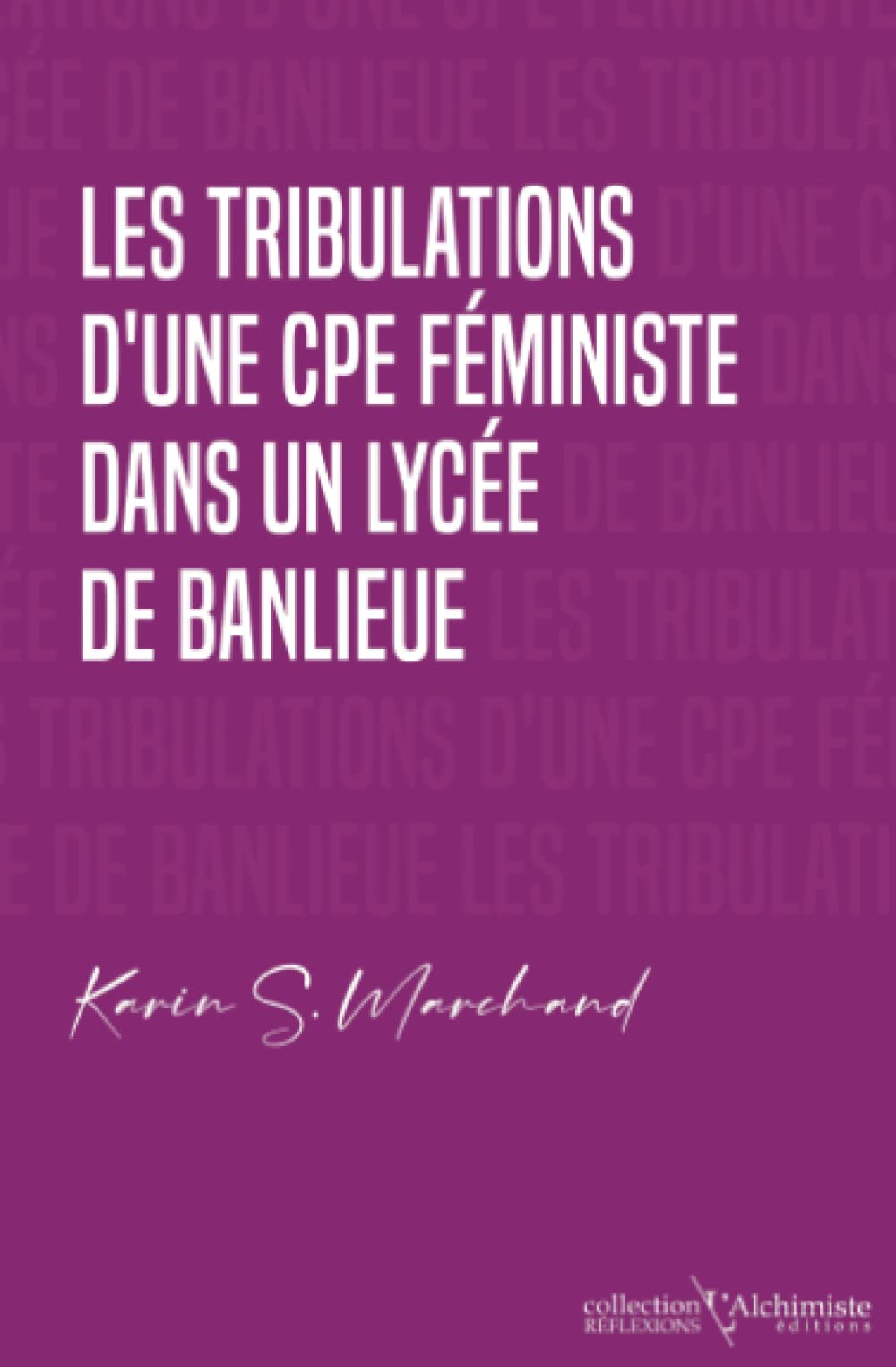 Les tribulations d'une CPE féministe dans un lycée de banlieue : manuel d'action et ressources