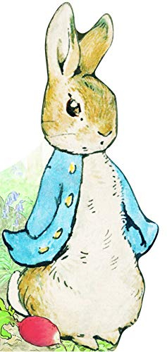 Bonjour Pierre Lapin !