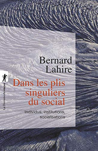 Dans les plis singuliers du social : individus, institutions, socialisations