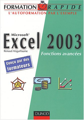 Microsoft Excel 2003 : fonctions avancées
