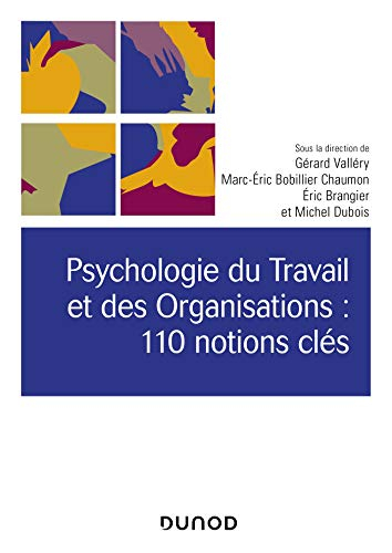 Psychologie du travail et des organisations : 110 notions clés