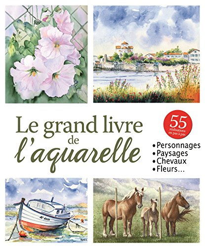 le grand livre de l'aquarelle