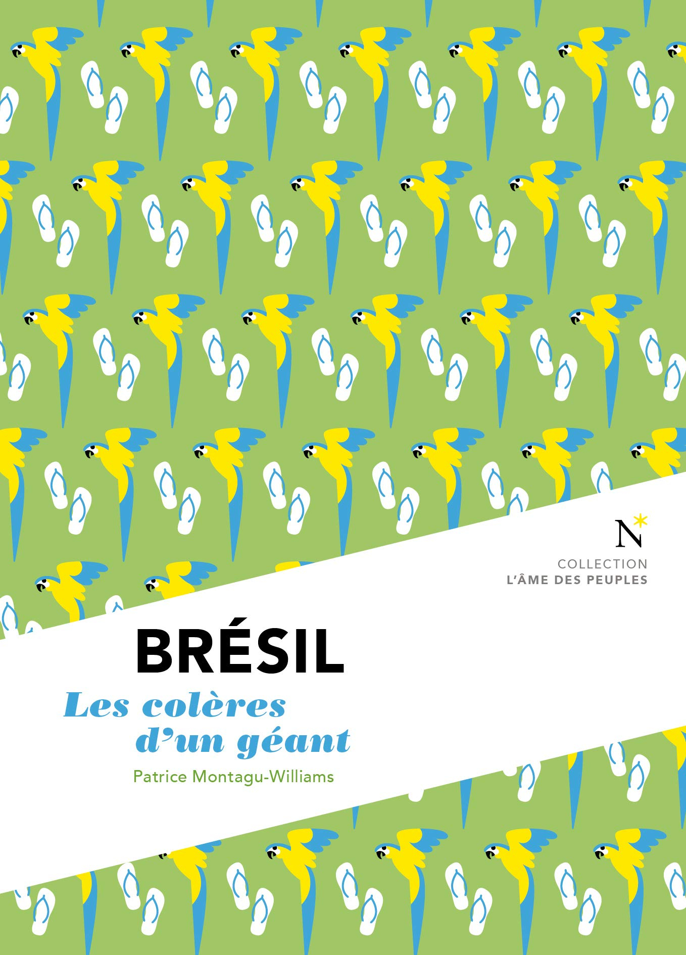 Brésil : les colères d'un géant