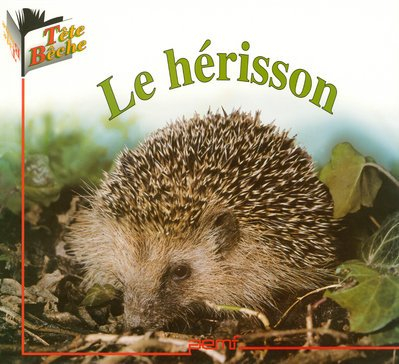 Le hérisson. Le hérisson et la princesse