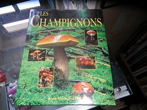 les champignons
