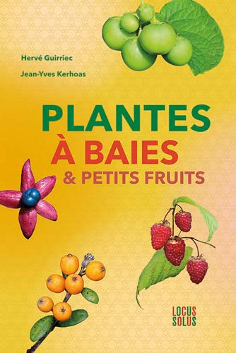 Plantes à baies & petits fruits