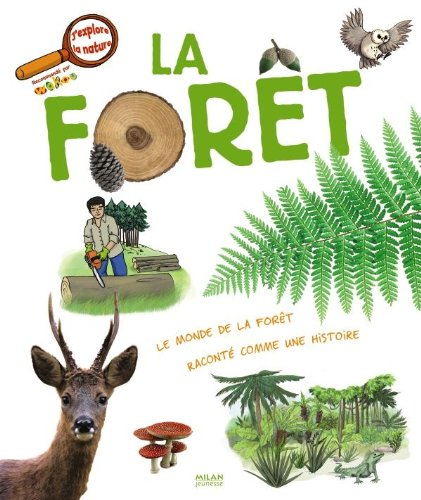 La forêt