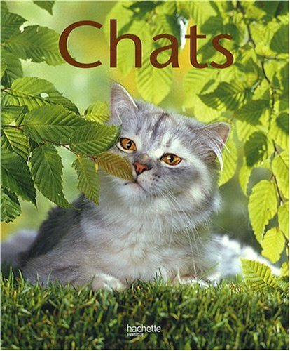 Chats