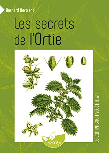 Les secrets de l'ortie
