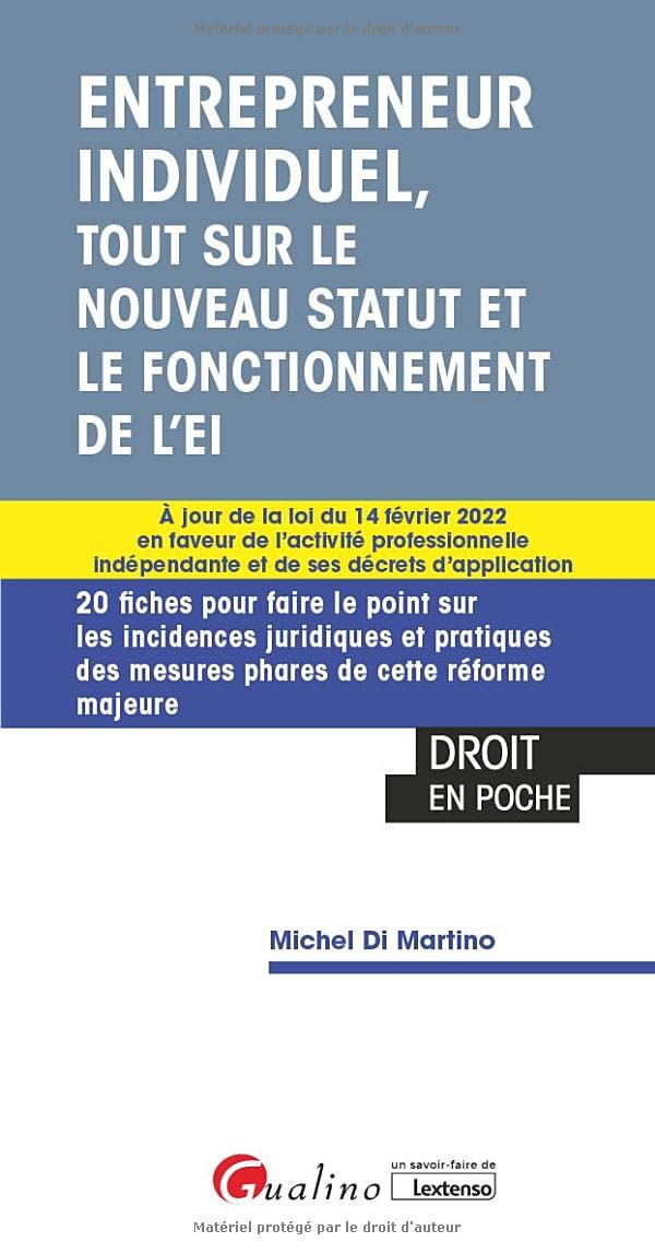 Entrepreneur individuel, tout sur le nouveau statut et le fonctionnement de l'EI : à jour de la loi 